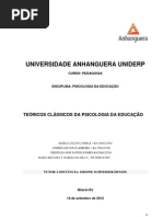 Relatorio Final de Psicologia