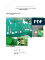 Laporan Prosedur Sectio Cesarea