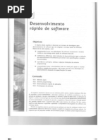 Desenvolvimento Rápido de Software - Cap 17 - Sommerville (2)