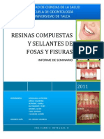 2 - Resinas Compuestas