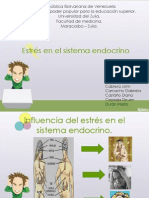 Estres y Sistema Endocrino