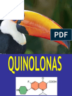 Quinolonas para Enfermería