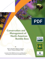 Conservation and Management of North American Bumble Bees