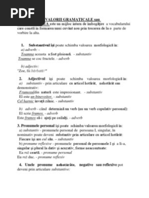 Schimbarea Valorii Gramaticale