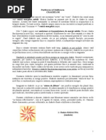 Doreen Virtue Purificarea Si Echilibrarea CHAKRELOR