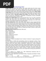 Download Streptococcus Viridans Dalam Rongga Mulut by Nur Aisyah SN110167888 doc pdf
