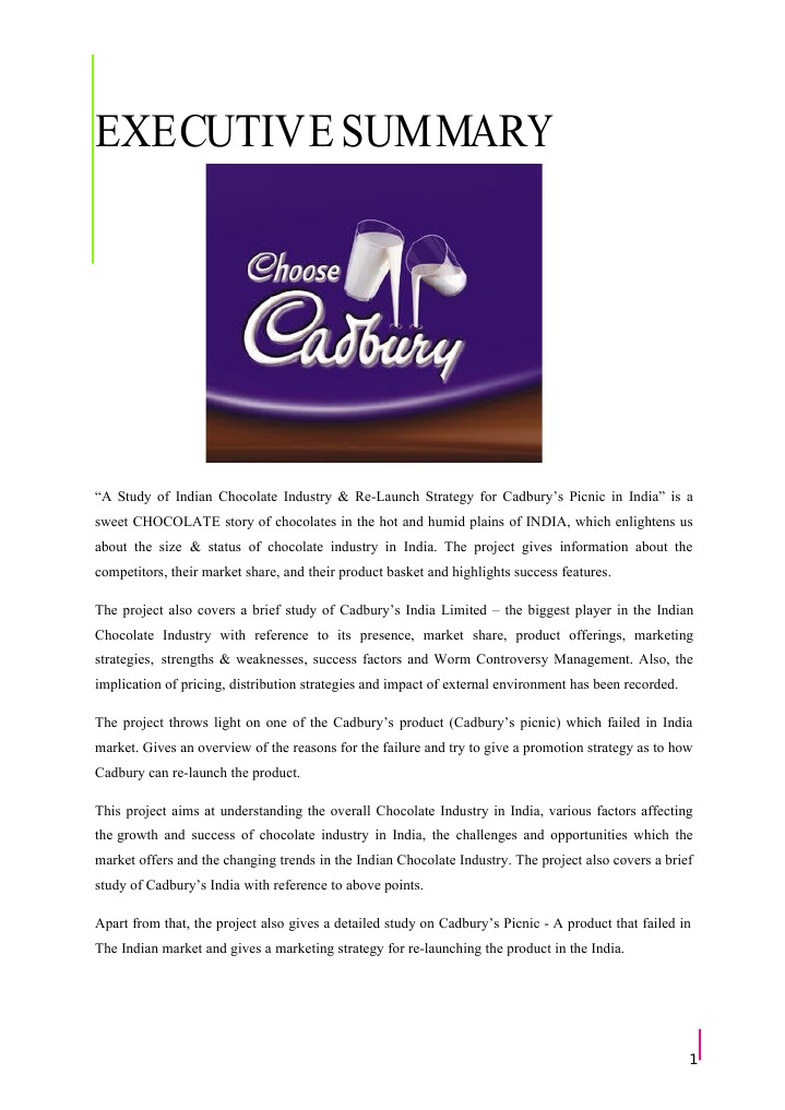 International strategic plan project camel milk chocolate product marketing essay 07 image