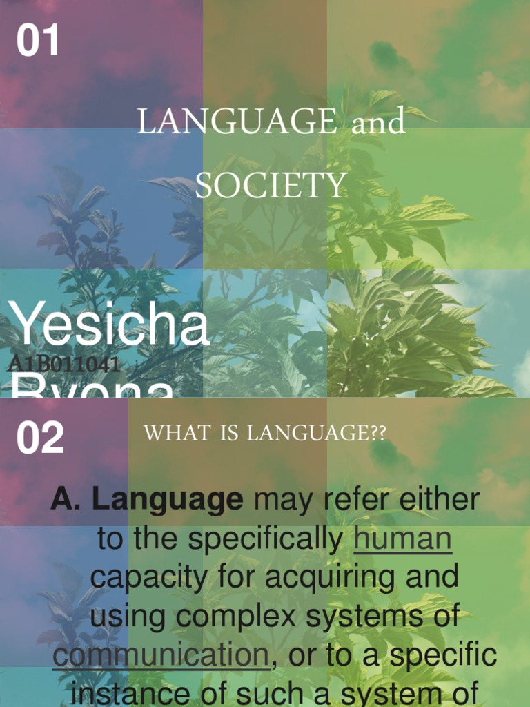 Chapter 1 Language Society PDF Sociolinguistics Linguistics