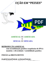 Reprodução em Peixes