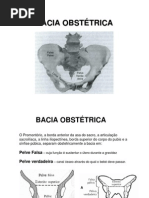 Bacia Obstetrica