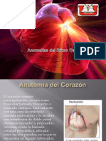 Anomalias Del Ritmo Cardiaco