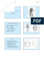 Speech Physiology and Speech Acoustics: The Lungs and The Larynx