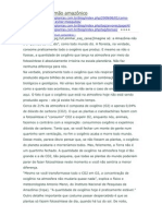 A lenda do pulmão amazônico