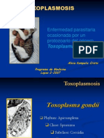 Toxoplasmosis 4