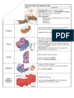 Cell Structures of Animal Cells