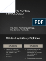 cariotiponormalypatolgico-101102195057-phpapp01
