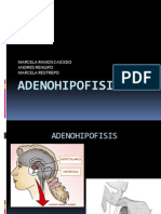Adenohipofisis 