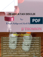 Pembuatan Insulin