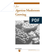 Basic Procedure For Mushroom Growing