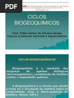 ciclo_biogeoquímico_2012