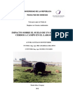 2012 Tesis Monteverde Impacto Sobre El Suelo de Un Sistema de Cerdos a Campo en El Largo Plazo
