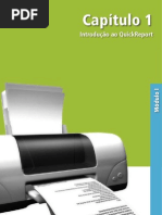 Download Curso Relatorios Modulo I by jr_ferreira23 SN110339862 doc pdf