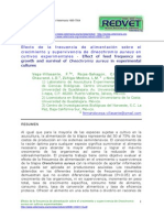 061115-Alimento Para Cultivo de Tilapia