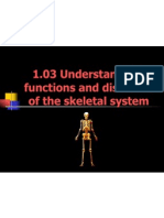 1 03 Understand The Functions and Disorders of The Skeletal System