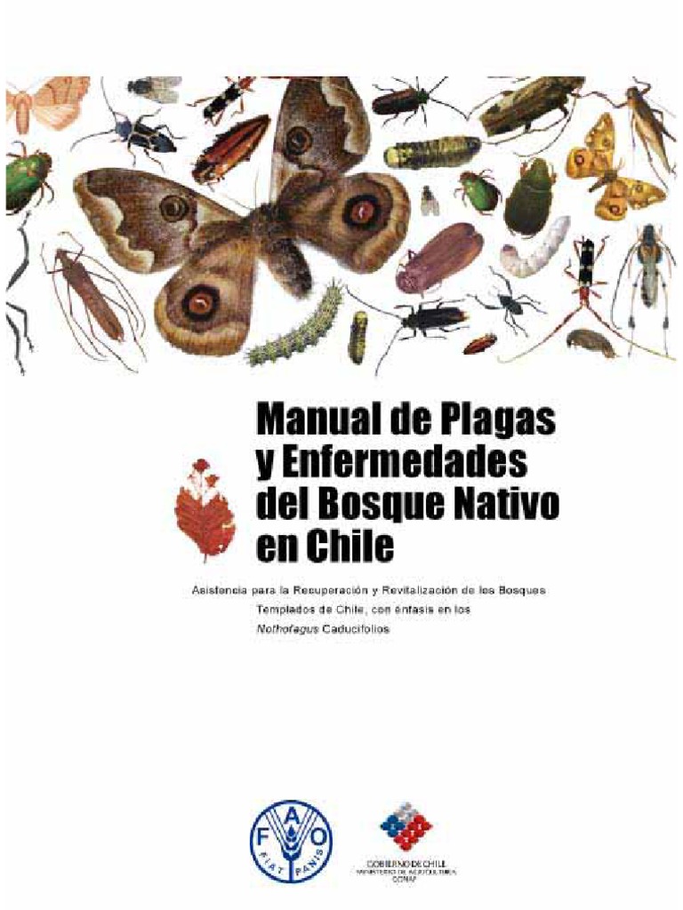Manual de Insectos-Chile | PDF
