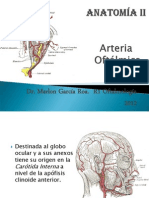 Arteria Oftalmica