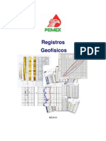 Registros Geofísicos - PEMEX