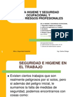 Higiene y Seguridad Laboral