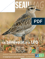 L'Oiseau Magazine n°108 (extrait)