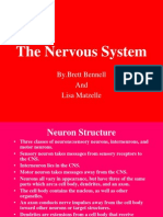 The Nervous System: by - Brett Bennell and Lisa Matzelle