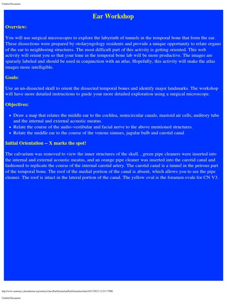 Ear Anatomy Dissection Workshop Guide | PDF | Ear | Auditory System
