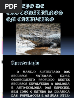 Manejo de Crocodilianos Em Cativeiro