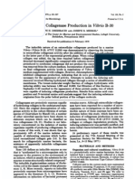 Induction of Collagenase Production in Vibrio B-30