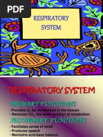 Med Surg Respiratory System