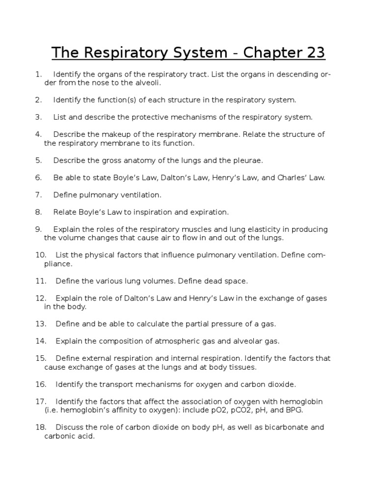 Respiratory system examples image