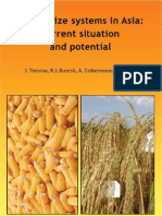 Rice-Maize Systems in Asia: Current Situation and Potential