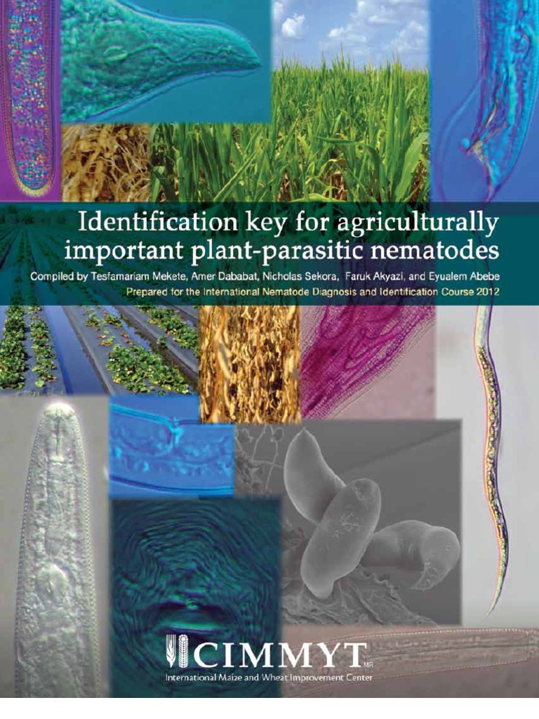 Nematode Identification Key Manual | PDF | Nematode | Filtration