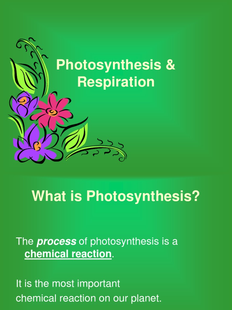 Photosynthesis and Cellular Respiration Explained | PDF ...
