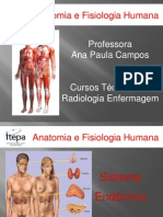 Aula 13 - Itepa 2011