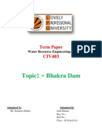 Bhakra Dam Term Paper