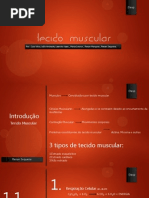 Tecido Muscular - versão final