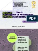 Tema 3 Mecanismos de Patogenicidad y Flora Normal