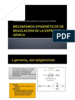 Mecanismos Epigenéticos