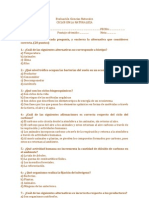 Evaluación Ciencias Naturales 7º Ciclos Naturaleza