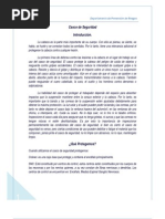 Carta de Amonestacion Por No Uso de EPP