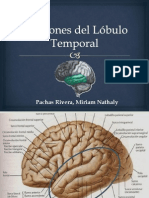 Funciones y Patología Del Lóbulo Temporal (Expo Con El Dr. Polar)